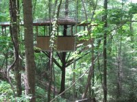 Bearpen treehouse.JPG