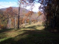 Bearpen upper field.jpg