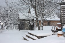 IMG_6633.jpg