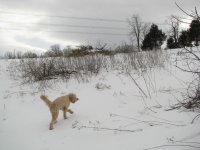 IMG_4377.jpg