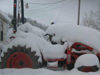 snow2.JPG