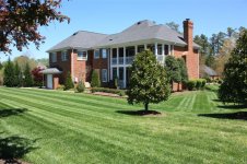 lawn pics 004 (Medium).jpg