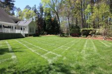 lawn pics 032 (Medium).jpg