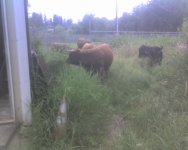 Jul11_0001.jpg
