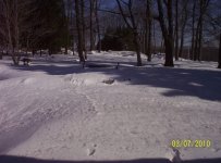 000_0225.jpg