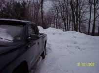 000_0223.jpg