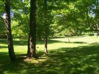 100_0247.JPG