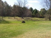 Spring 011.jpg