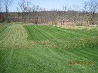 Lawn 001.jpg