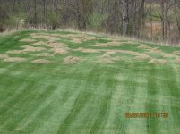 Lawn 003.jpg