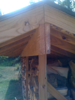 image-1733034516.png