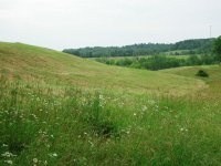 DSCN7181.JPG