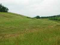 DSCN7185.JPG