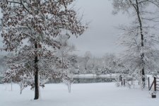 pond2[1].jpg