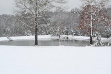 pond 1..jpg