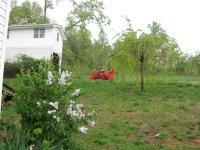 IMG_0390.jpg