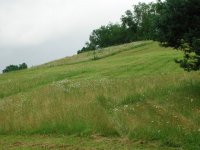 DSCN7198.JPG