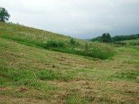 DSCN7203.JPG