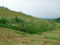 DSCN7208.JPG