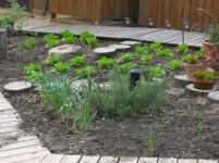 HerbGarden 2.jpg