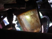 DSCN4223.JPG