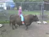 May27_0003.jpg