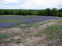 4-20-2010-BB_Hill-3.jpg