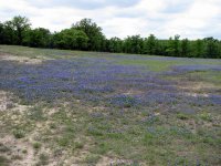 4-20-2010-BB_Hill-2.jpg