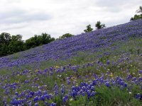 4-20-2010-BB_Hill-6a.jpg
