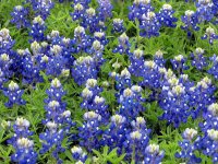 4-20-2010-BB_Hill-8.jpg