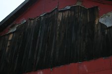 IMG_4121.jpg