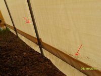 Shed 2 rips 05-18-2010.jpg