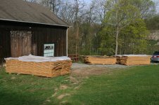 IMG_4126.jpg
