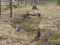 Ruts in front yard tractor 05-18-2010.jpg
