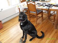 Murphy 2 05-18-2010.jpg
