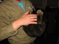 Pix 014.jpg