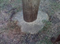 IMG00203.jpg