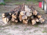4-23-10 Six to Twelve Inch Cedar Logs.jpg