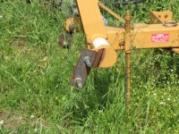 IMG_0742a.jpg