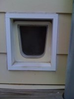 catdoor2.jpg