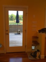 catdoor5.jpg
