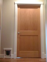 catdoor4.jpg