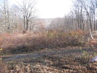IMG_0685.jpg