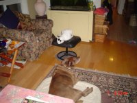 670DecemberPics 035.jpg