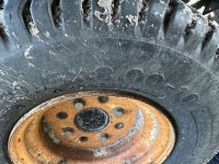 IMG_4650.jpeg