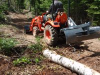 pullin tree10.jpg