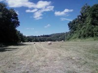 Summer of 2010 041.jpg