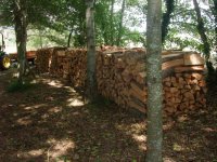 DSCF3042 [Ré§¸olution de l'é¦—ran].JPG