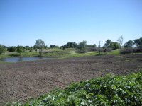 DSCN1488.JPG