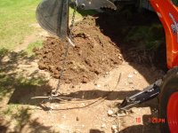 DitchFGarden 001.jpg